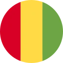 فرنك غينيا (GNF)