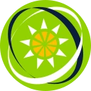 دولار شرق الكاريبي (XCD)